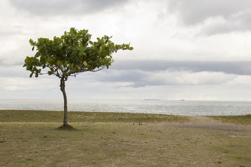 Beautiful view of Caraguatatuba beach, north coast of the state