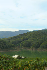 Fototapeta na wymiar Vipava green valley