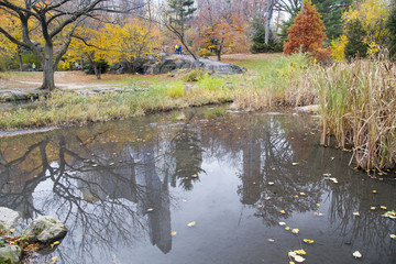 New York - Central Park