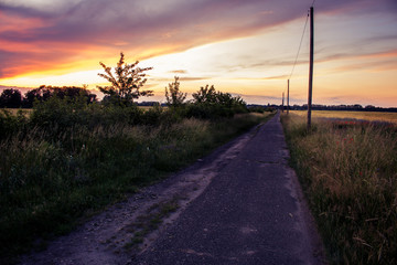 Auf dem Weg