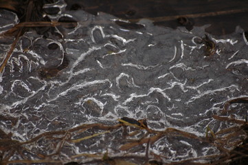 Frozen water texture