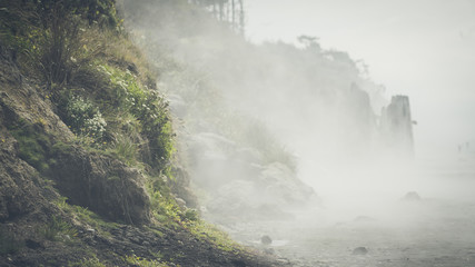 Where dinosaurs live