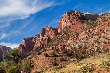 Fototapeta premium colorful landscape from zion national park utah