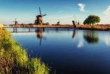 Fototapeta na wymiar Colorful spring day with traditional Dutch windmills canal in Ro