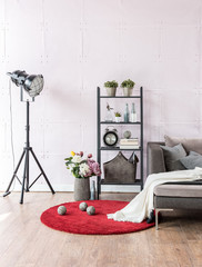 many ornaments in the bookcase and sofa style