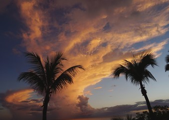 Fototapeta na wymiar Sonnenuntergang in Florida