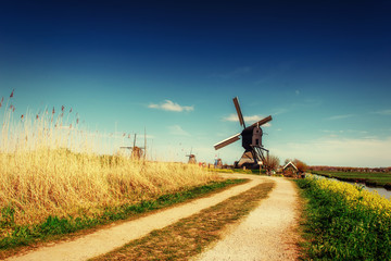 The road leading to the Dutch windmills from the canal
