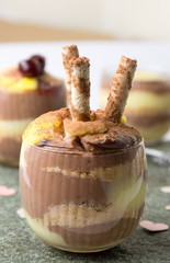 Homemade vanilla and chocolate pudding