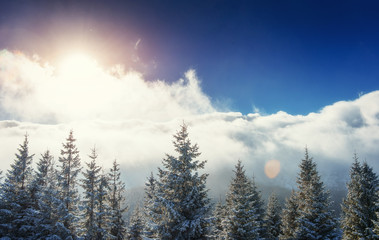 Fototapeta na wymiar Mysterious winter landscape majestic mountains