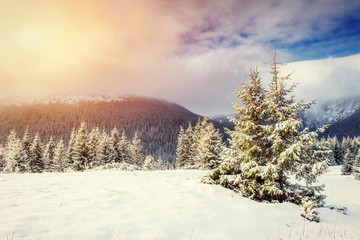 Mysterious Winter landscape with fog, majestic mountains in the 