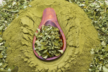 Moringa in leaves and powder