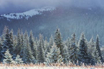 Winter landscape glowing by sunlight. Dramatic wintry scene. Car