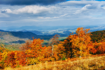 Fototapeta premium mountain range in the Carpathian Mountains in the autumn season.