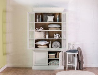 interior wardrobe or cabinet style