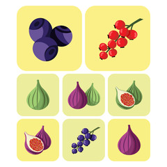 Colorful fruits and berries icons set