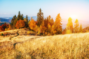 rock massif in the Carpathians. Retro style filter. Instagram to