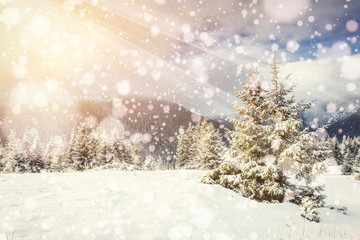 Fototapeta premium magical winter landscape, background with some soft highlights a