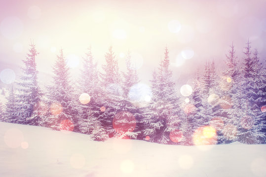 magical winter landscape, background with some soft highlights a