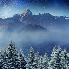 starry sky in winter snowy night. Carpathians, Ukraine, Europe