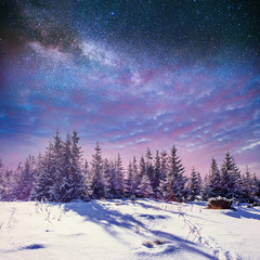Fototapeta na wymiar starry sky in winter snowy night. fantastic milky way