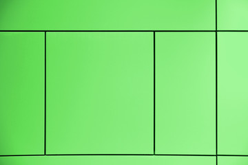Greenery. Green background crossed by lines forming squares and rectangles in an abstract architectural wall. Empty copy space for Editor's text.