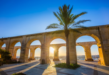 Valletta, Malta - Palm tree at the top of Valletta at sunrise with blue sky