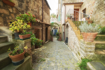 Fototapeta na wymiar Narrow street of medieval town in Italy
