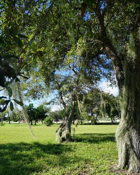  Am Okeechobeesee in Florida