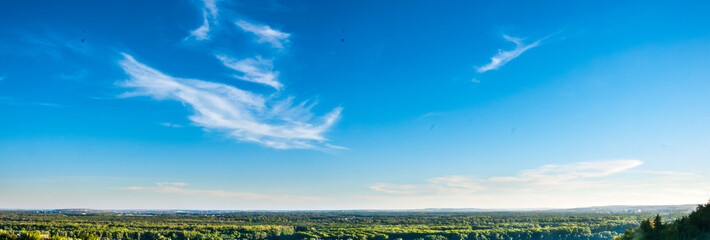 A panorama of forest till the horizon and deep clear blue sky