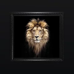 Papier Peint photo Lion Portrait d& 39 un beau lion, lion dans le noir, peintures à l& 39 huile, doux