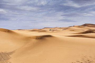 Fototapeta na wymiar Desierto del Sahara, Marruecos