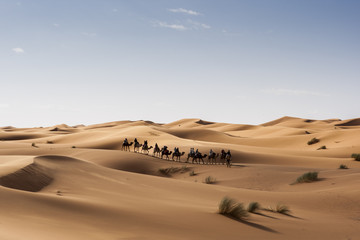 Fototapeta na wymiar Caravana de camellos, Marruecos