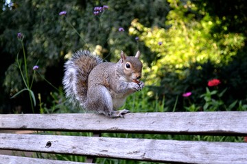 London, Hyde Park