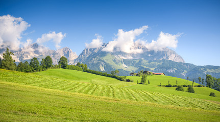 Fototapeta na wymiar Austrian summer landscape, Kitzbuehel, Tyrol, Austria