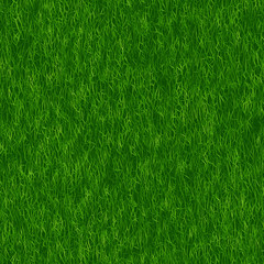 Seamless emerald forest moss pattern  