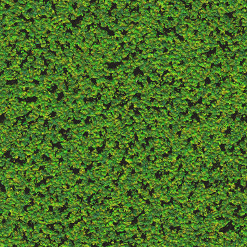 Seamless emerald forest moss pattern  
