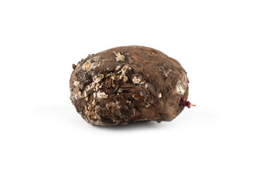 Photo spoiled potatoes
