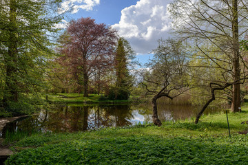 Romantische Teichlandschaft im Park
