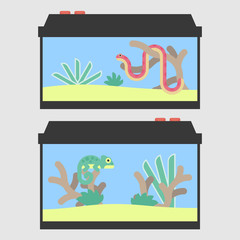 Reptile tanks