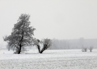 Campagna Innevata