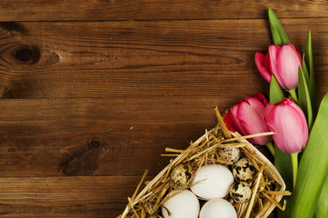 Chicken and quail eggs with tulips. Easter background