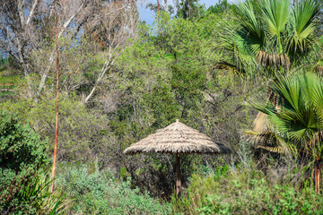 Resting hut among the trees and plants