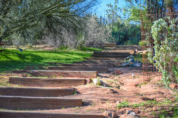 Fototapeta na wymiar Steps leading towards a nature hiking trail