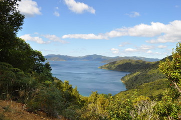 Fototapeta na wymiar View from the Queen Charlotte Track, New Zealand