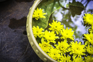 Fototapeta na wymiar Spa therapy with yellow flowers
