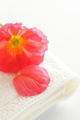 Obraz na płótnie Canvas spring flower, corn poppy on towel