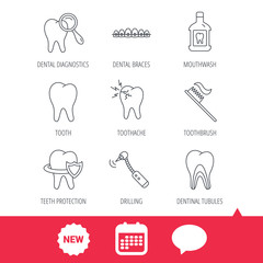 Tooth, dental braces and mouthwash icons. Diagnostics, toothbrush and toothache linear signs. Dentinal tubules, protection flat line icons. New tag, speech bubble and calendar web icons. Vector