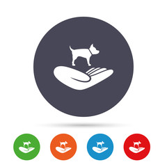 Shelter pets sign icon. Hand holds dog symbol.