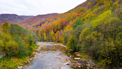 Fototapeta na wymiar Autumn beautiful forest and river.