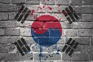 painted national flag of south korea on a brick wall